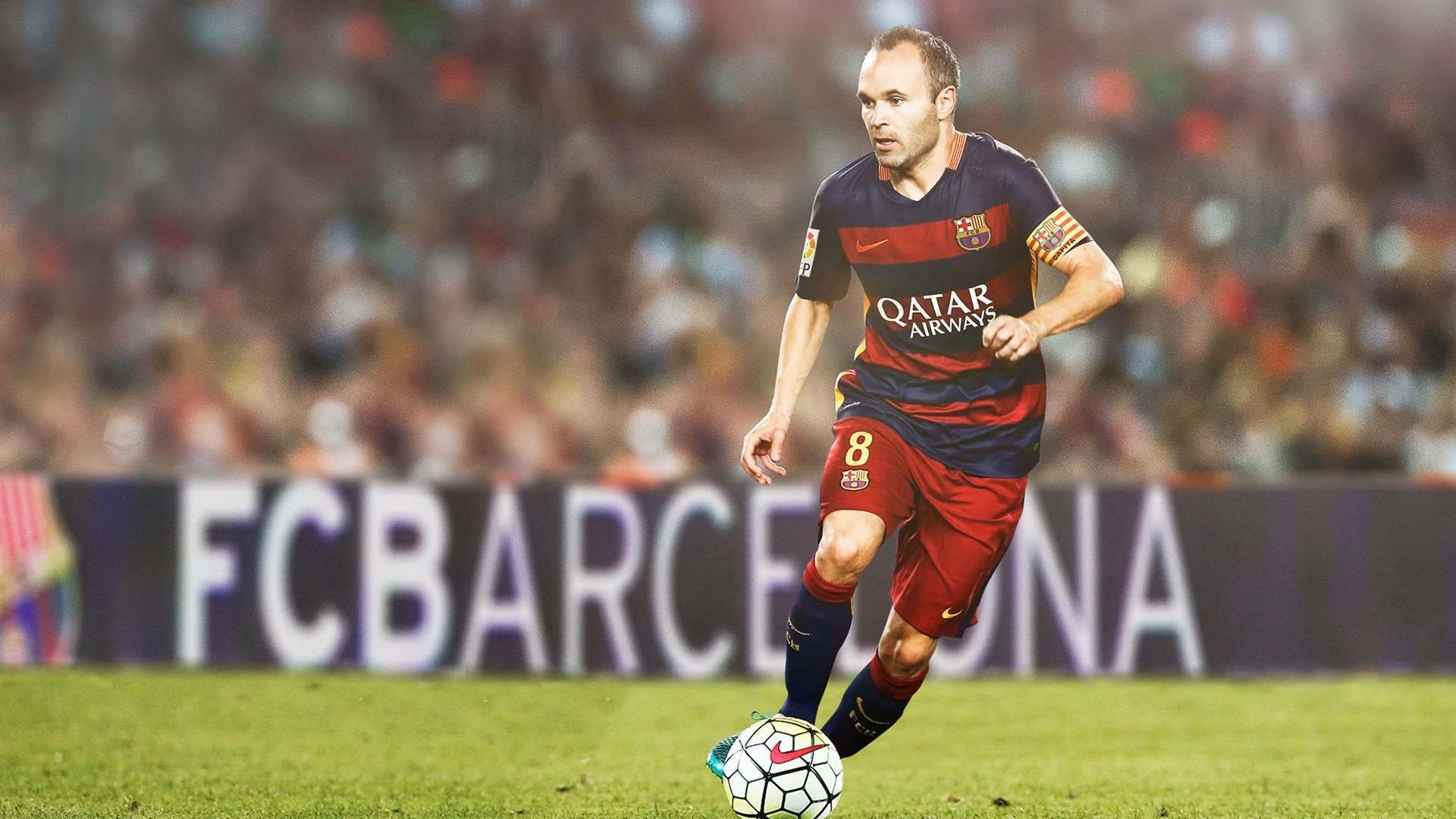 “南非羚羊队的秘密武器:诺克·达维德·彼得森的爆发”